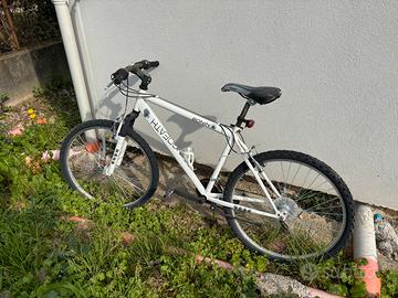 Mountain bike in buono stato