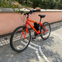 bici magnum