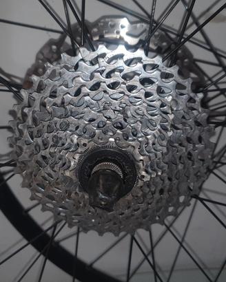 cerchi mtb 29