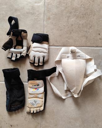 protezioni Taekwondo 