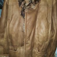 montone rovesciato uomo ....