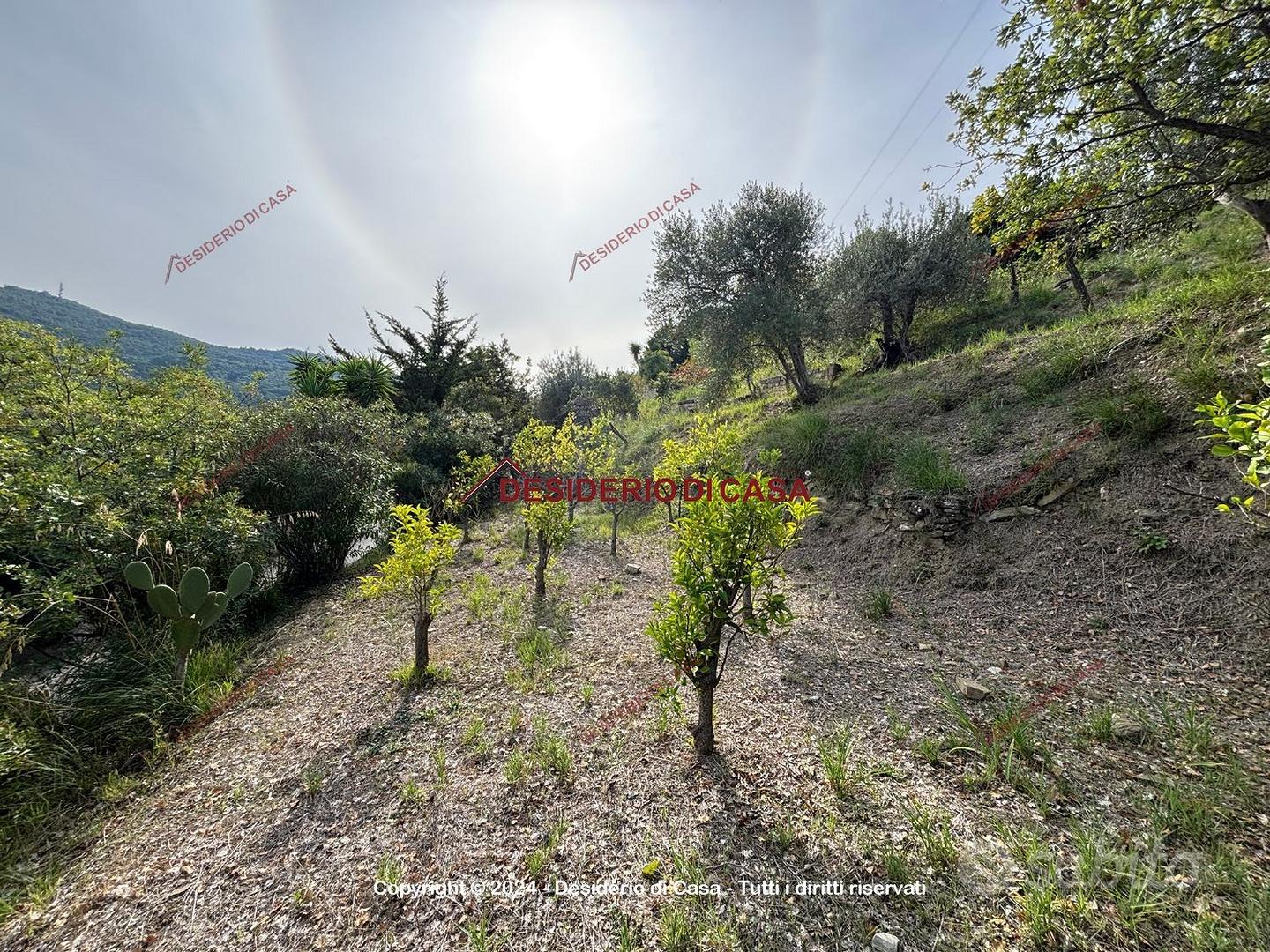 Terreno, Cefalù. - Vista 6