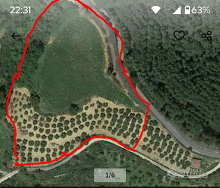Terreno agricolo vigneto, uliveto (fabbricato)