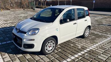 Fiat panda GPL