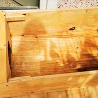 teca per tartaruga 🐢