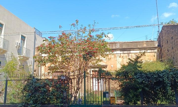 2 appartamenti in villa con giardino