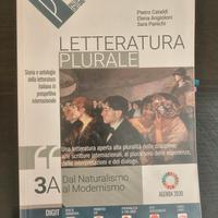 Manuale Letteratura Plurale 3A Palumbo - 