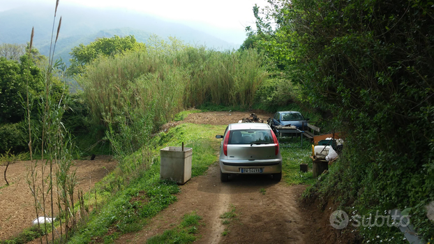 Terreno agricolo