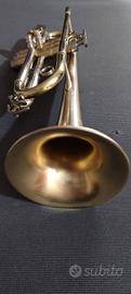 Tromba in Sib Di grigoli in ottone Satinato 