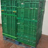 CASSETTE MULTIUSO IN PLASTICA RIGIDA PIEGHEVOLI