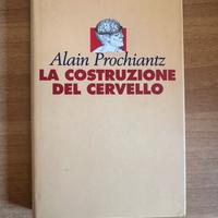 La costruzione del cervello