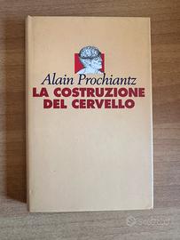 La costruzione del cervello