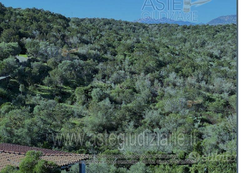 Terreno Agricolo Olbia [A4352462] - Altro