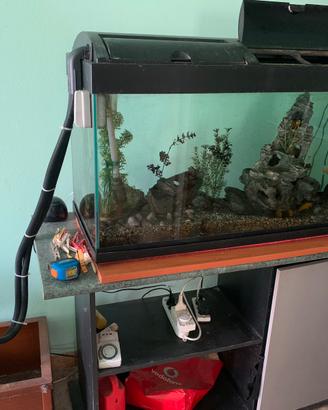 Acquario 200 lt