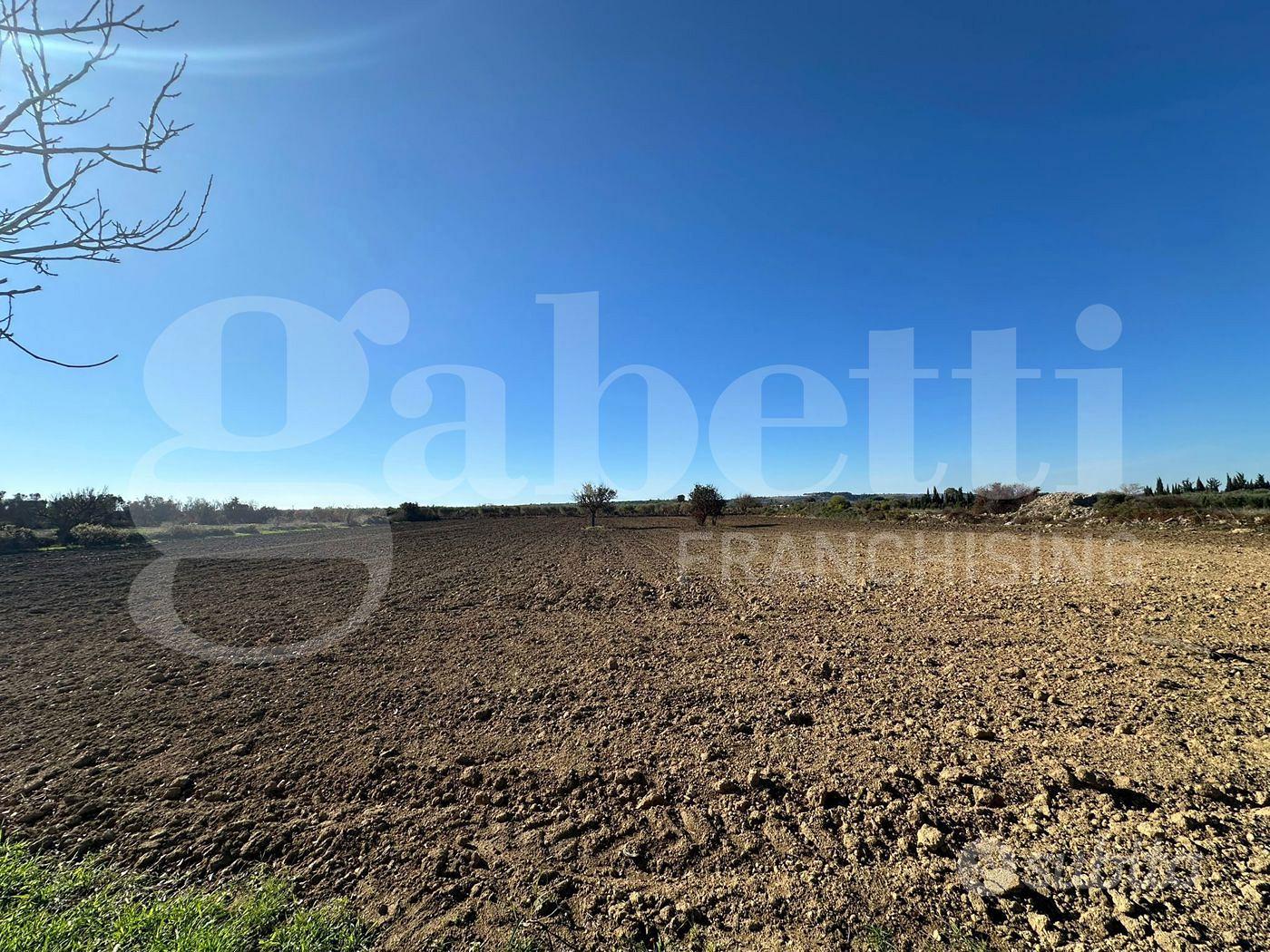 Terreno Agricolo Ugento [Cod. rif 3275972VCG] - Vista 3