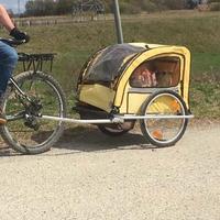 carrelo porta bambini, rimorchio bici