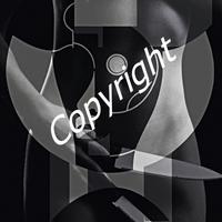 quadro moderno stampa NUOVO su tela CHIARO SCURO