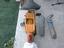 Immagine 5