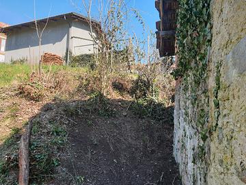 Rustico con terreno
