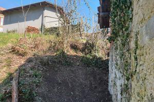 Rustico con terreno