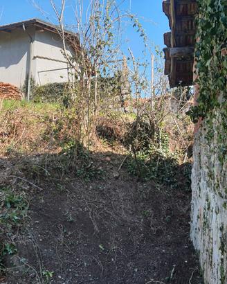 Rustico con terreno