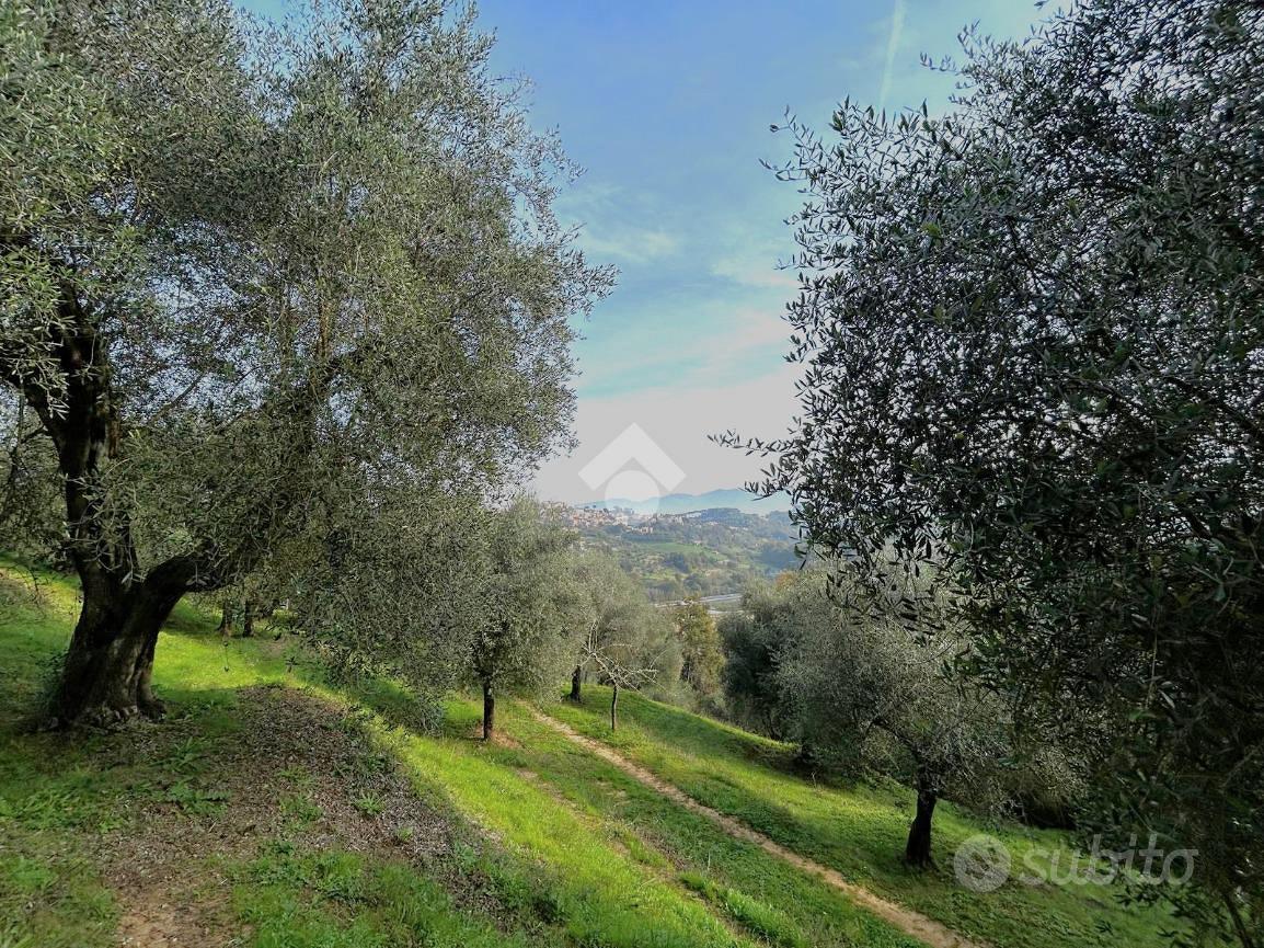 TER. AGRICOLO A PONZANO ROMANO - Vista 2