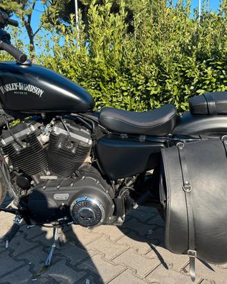 HARLEY DAVIDSON 883 SPORTSTER IRON N