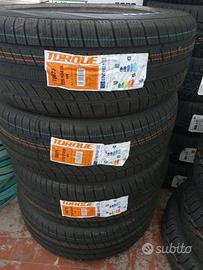Gomme nuove 225 55 18 98 V Tourque 4 stagioni