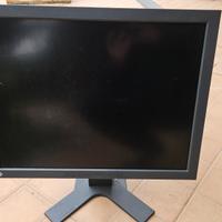 Monitor Diagnostico Eizo BW Radiforce G31