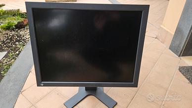 Monitor Diagnostico Eizo BW Radiforce G31
