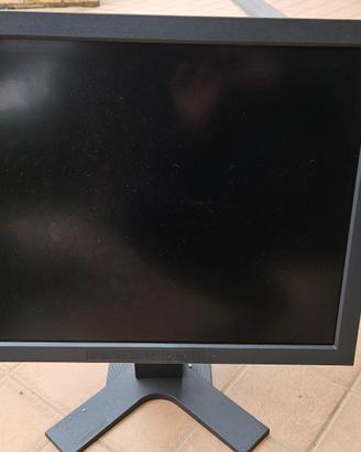 Monitor Diagnostico Eizo BW Radiforce G31
