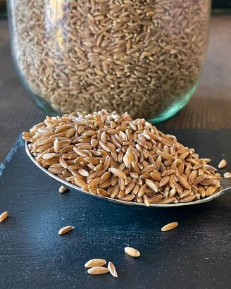 farro 