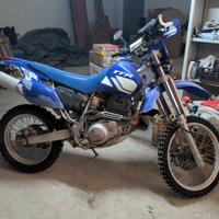 Yamaha TT 600 R - 2002 TTR Belgarda