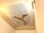 Immagine 26