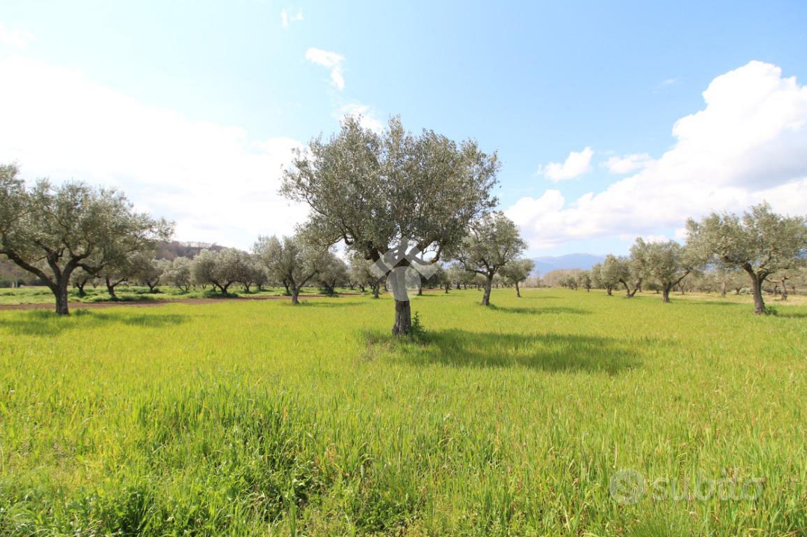 TER. RESIDENZIALE A MONTALTO UFFUGO - Vista 4