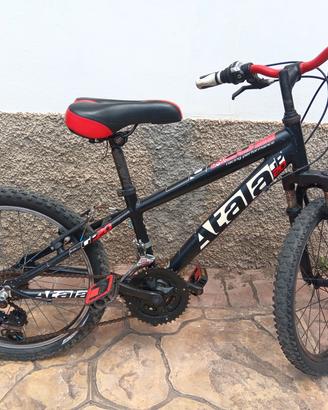 MTB  Atala ruota 20"