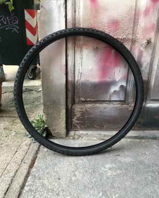 Pneumatica de bici
