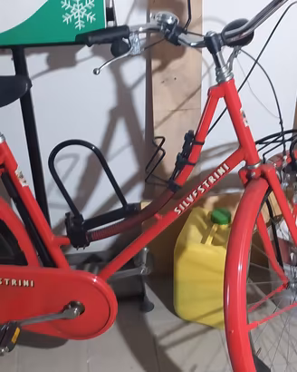bici e Mountain bike americana