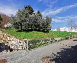 AMPIO TERRENO EDIFICABILE IN ZONA SEMICENTRALE