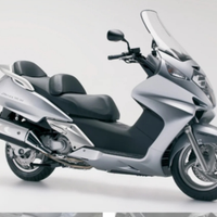 Silverwing 600 targa polacca