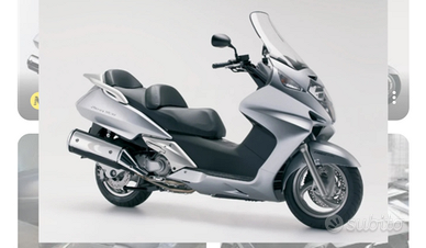 Silverwing 600 targa polacca