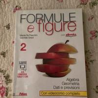 Libro “ Formule e figure 2”