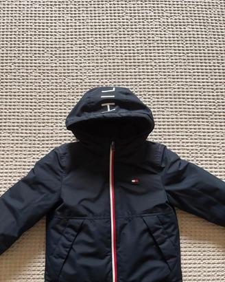 giubbino tommy hilfiger