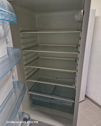 frigorifero electrolux 290 lt