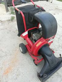 Aspirafoglie professionale 