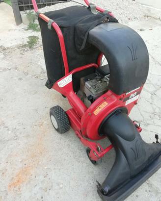 Aspirafoglie professionale 