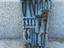 Immagine 1