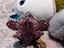 Immagine 2