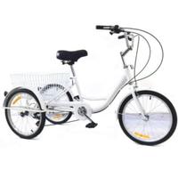 bici elettrica 3 ruote