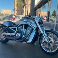 Harley-Davidson V-Rod 10th anniversary 1250/240